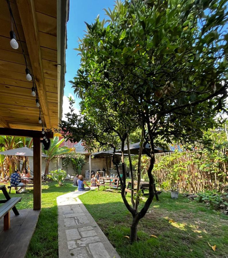 The Coffee Bean Hostel San Cristóbal de Las Casas Exteriér fotografie