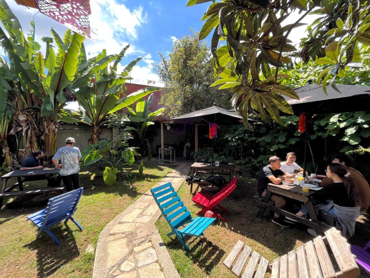The Coffee Bean Hostel San Cristóbal de Las Casas Exteriér fotografie